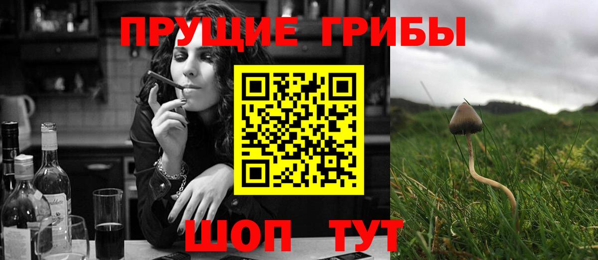 Псилоцибиновые грибы мухоморы Апатиты