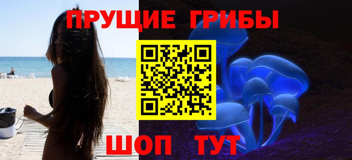 Апатиты  Галлюциногенные грибы прущие грибы  Вход с VPN 